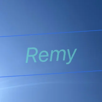 remy031