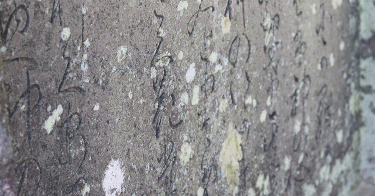 近代活版印刷の祖・本木昌造に会いに行く〈後編〉｜雪 朱里