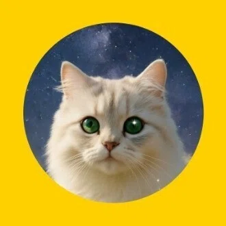 旅する猫🐾ソラ