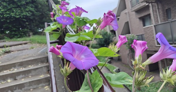 高杉真宙さん ファンミーティング 大阪2部 レポ｜山葵