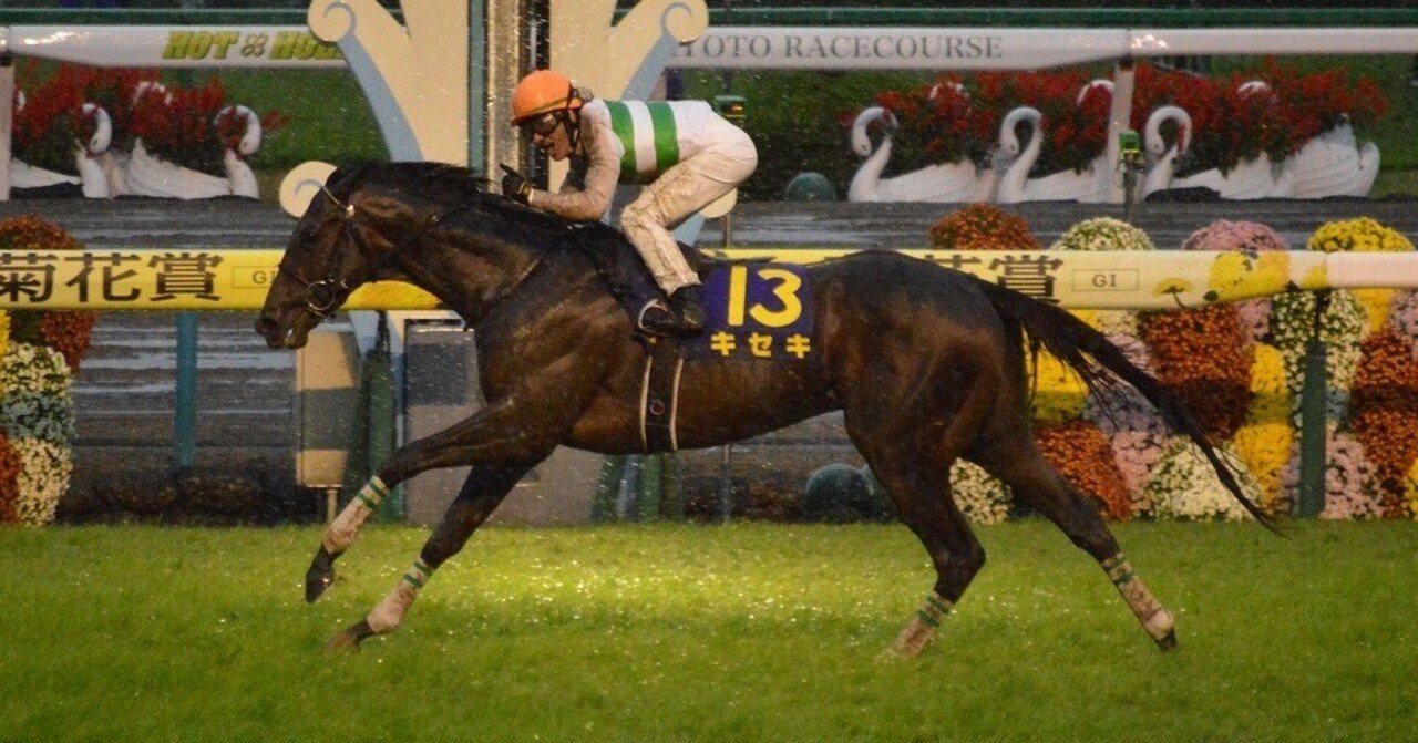 菊花賞予想｜mokomoko競馬研究所