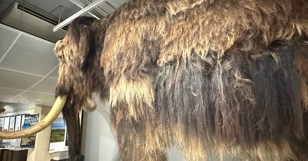 イシマエル ヒトに、まだ希望はあるのか ダニエル・クイン著 イシュマエル―ヒトに、まだ希望はあるか - ダニエル・クイン