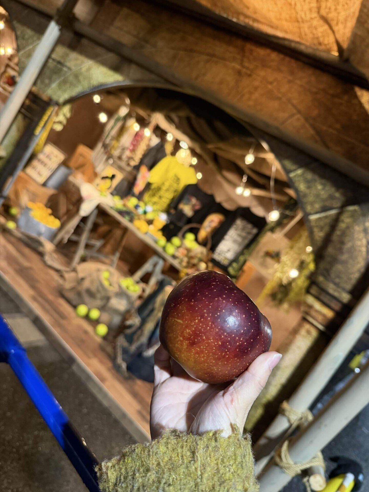 このりんごは世界で一つだけのりんごだ！！！！｜てん