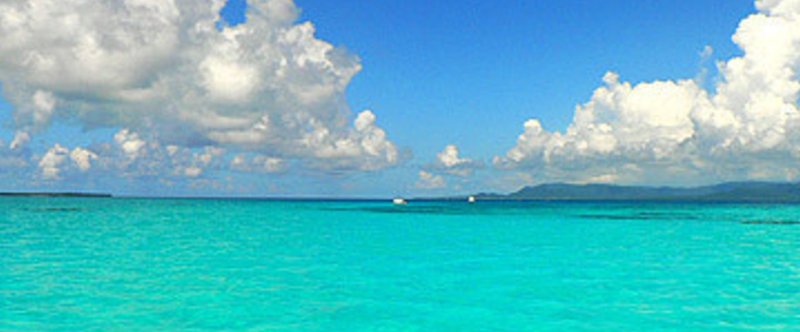 人生はチャレンジだ ラリアット梅さん Note