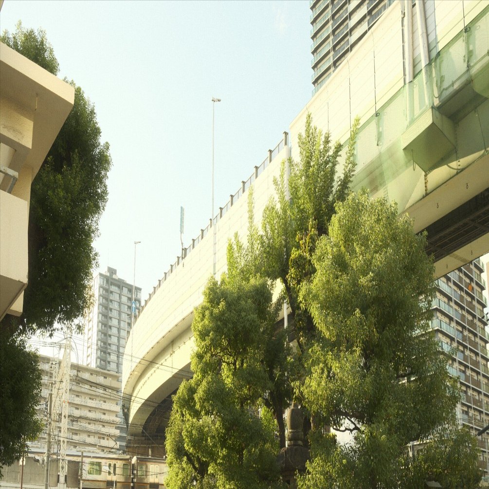 作例30枚】現在設定しているフィルムシミュレーションをまとめてみた