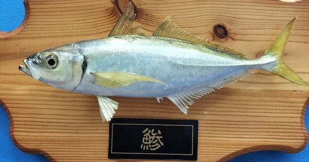 道具のこと：モンスターキス ディアモンスター MV-65｜オツヒト