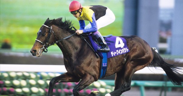 名馬紹介 スティルインラブ｜dorayaki