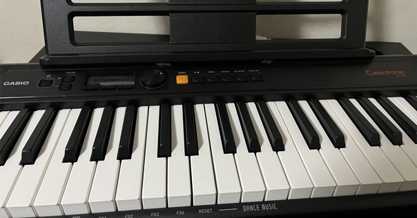 中古】Excelsior 303｜アコーディオン横丁