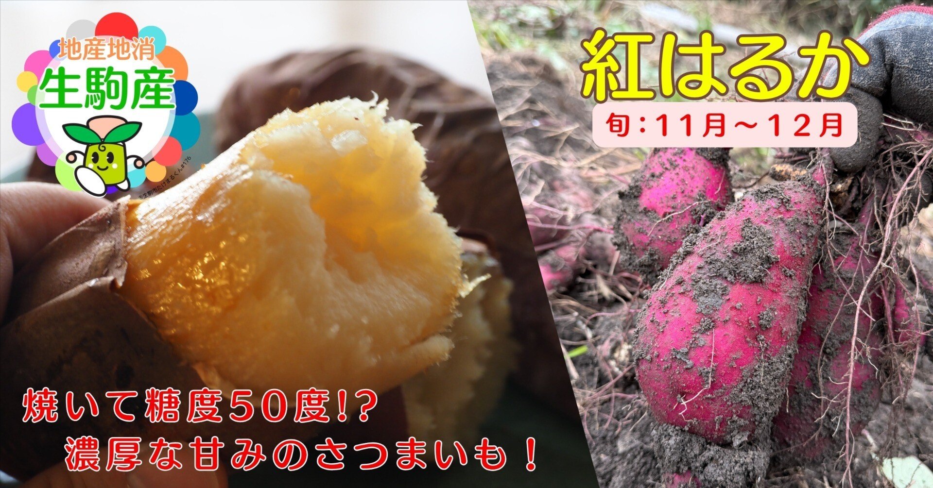 ごう 紅はるか 驚きの高糖度！じっくり焼いて極上の甘みを味わいたい「紅はるか