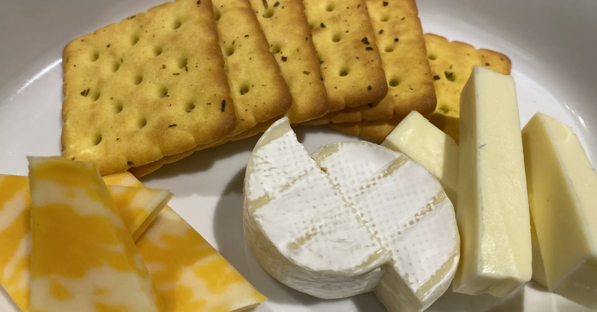 チーズプロフェッショナル二次試験の感想｜ShinjiVIN