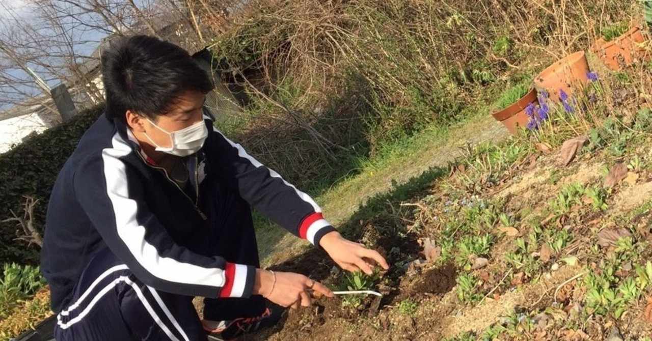 Ruy Miyagawa 宮川類 Note