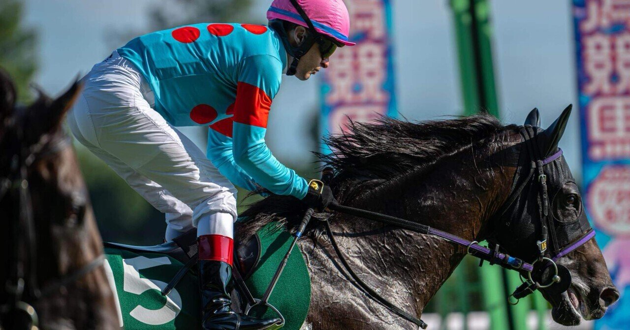 菊花賞全頭評価&予想！！！｜note馬券倶楽部