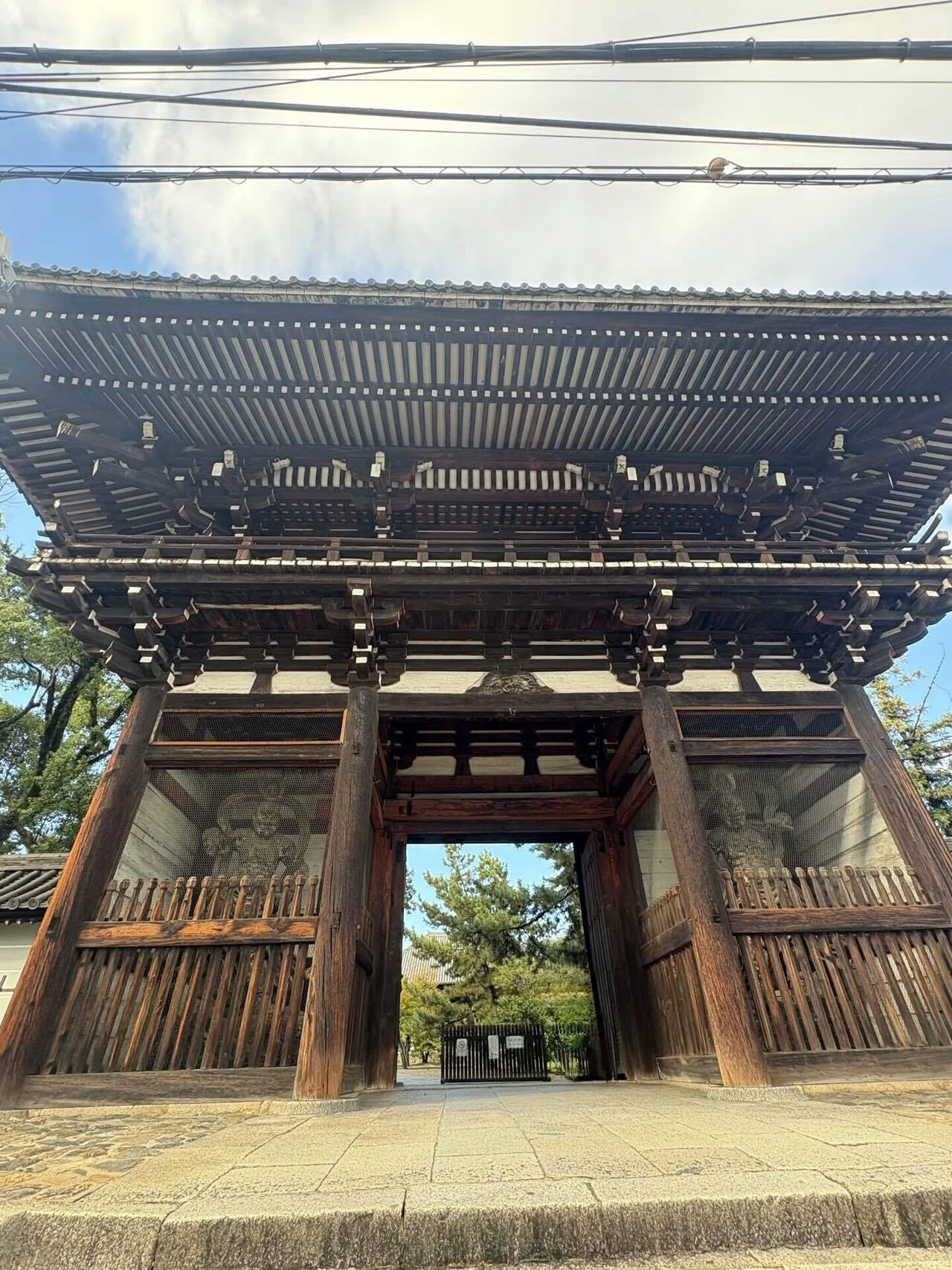 妙心寺から広隆寺へ。静けさをもとめて｜京都 秋旅 ②｜ミモザときのこ