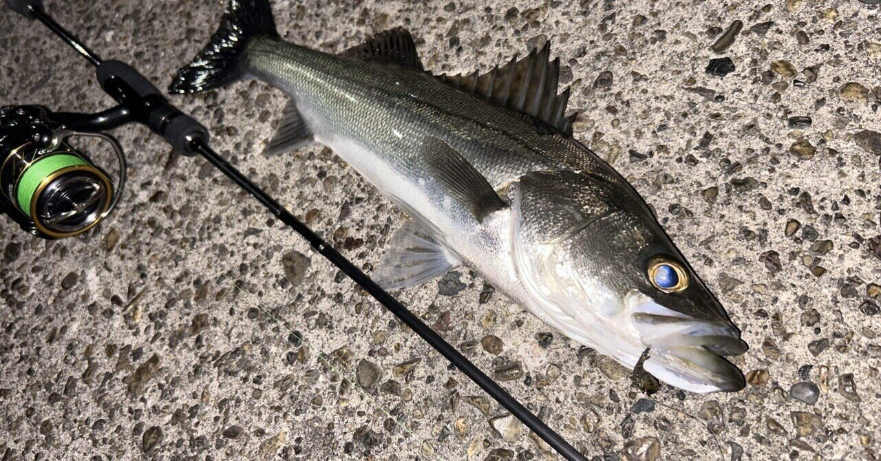 ディープライナー　オフショアスロージギングジグ16本セット ディープライナー オフショアスロージギングジグ16本セット ルアー・フライ