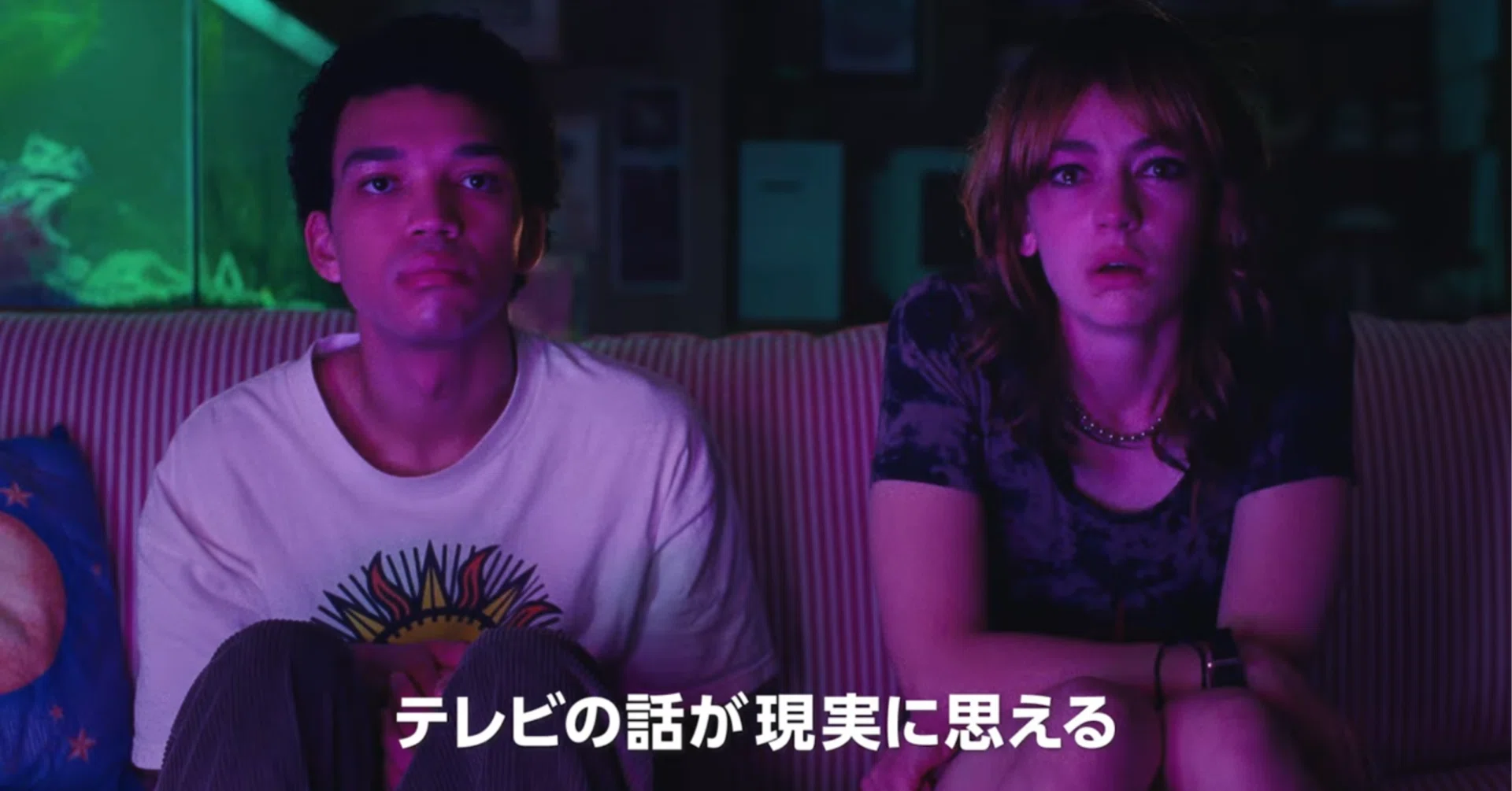 テレビの中に入りたい』を観た・他（2025年10月25日の日記）｜人間が大好き
