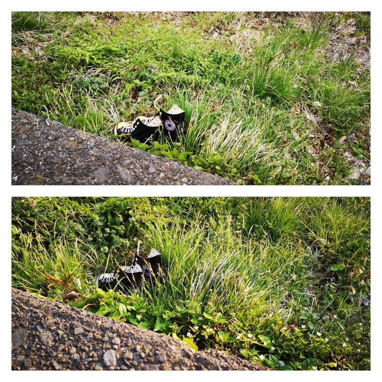道路脇の草むらに置かれてた靴。草がいい感じに伸びてきた。