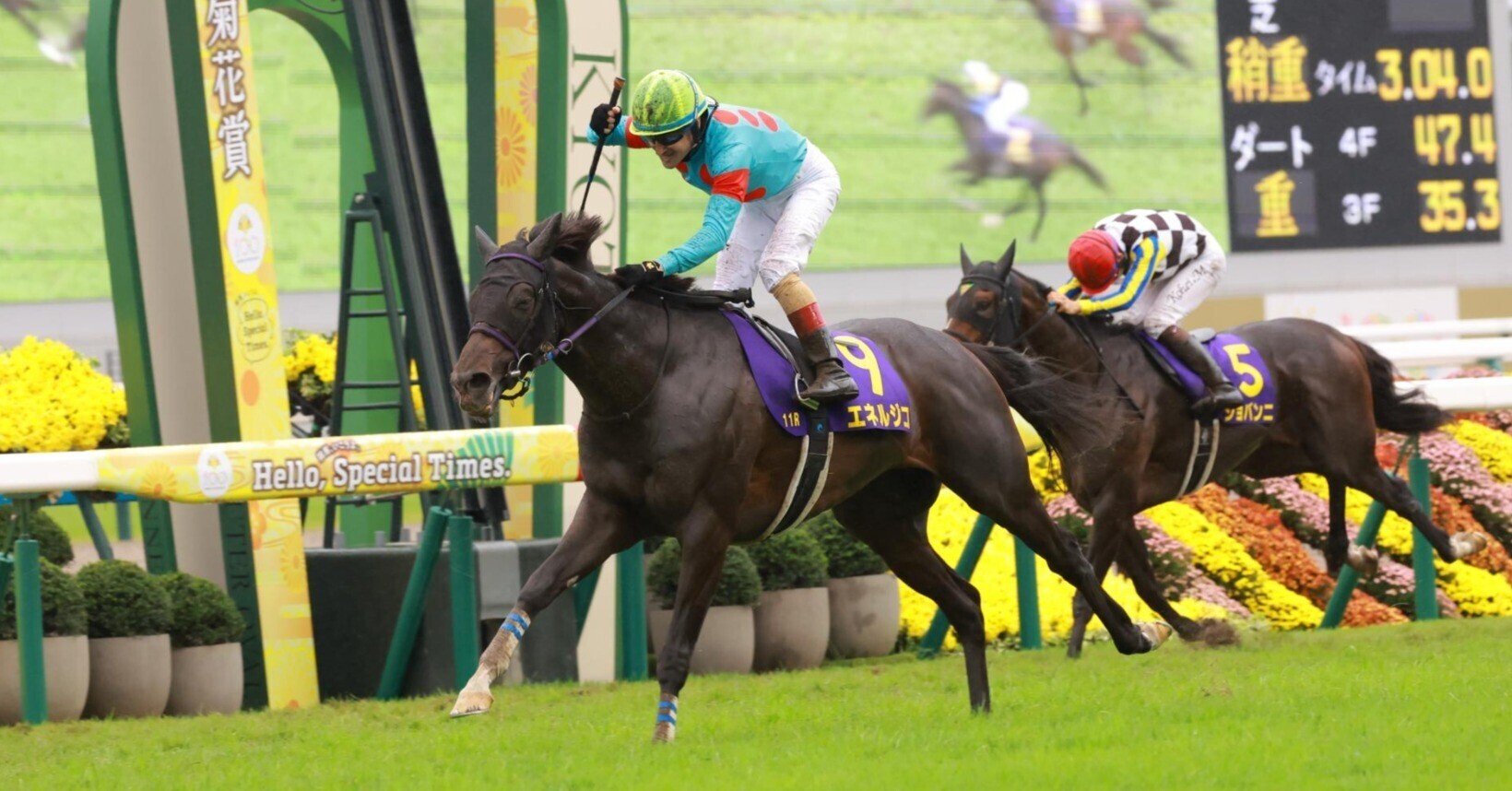 エネルジコ　セントポーリア賞　現地的中単勝馬券　菊花賞制覇 名種牡馬のラストクラシックは勝利の花道、エネルジコが菊花賞V