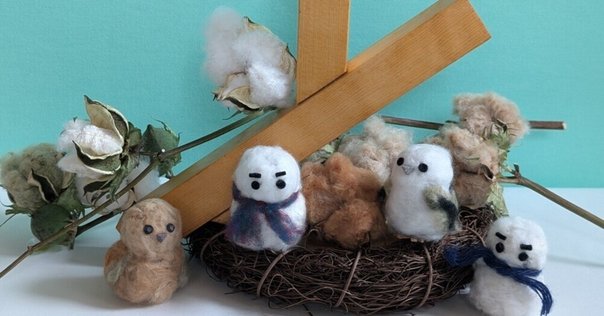 綿が布になるまで｜Tomomi Tsuri