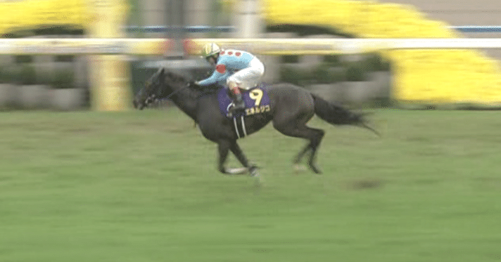 レース回顧Vol.621】第86回菊花賞｜それみあ