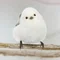 もも