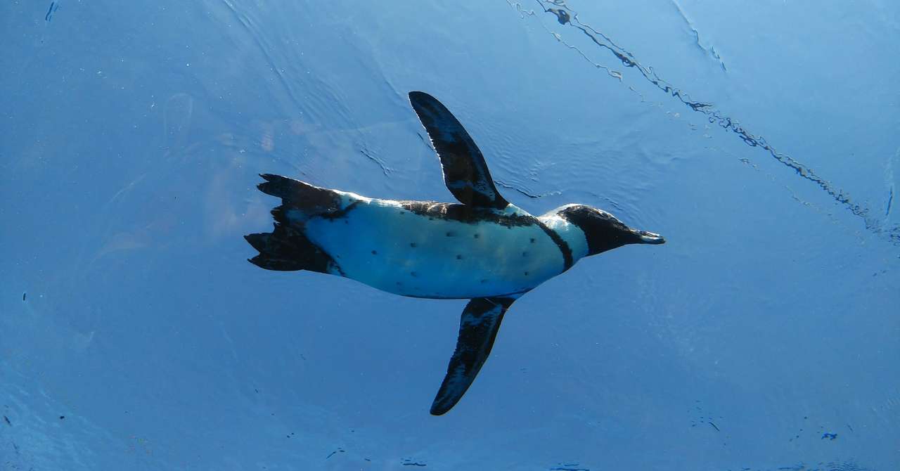 爪の根元の白い部分が大きい人は頭が良いだなんて納得いかないだって私白いとこないんだもん の新着タグ記事一覧 Note つくる つながる とどける