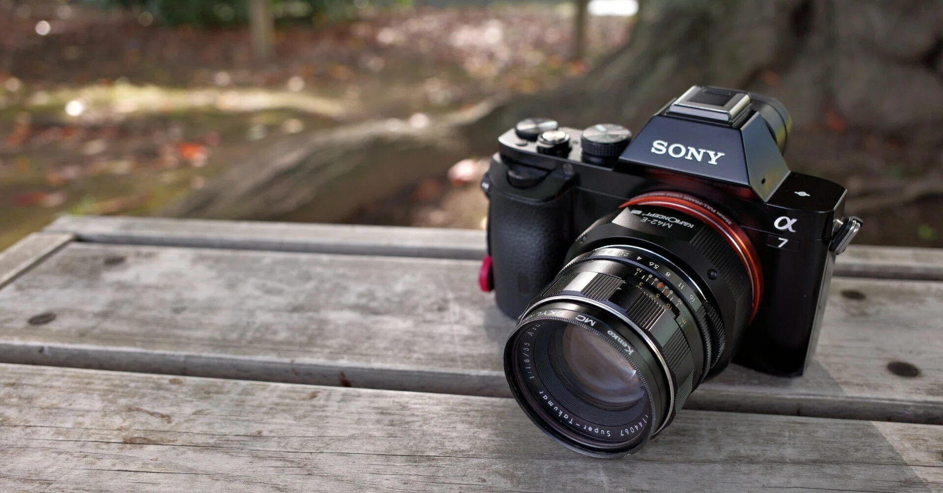 α7IIからα7初代へのアップグレード｜ponchan