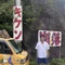 暴発 元山本