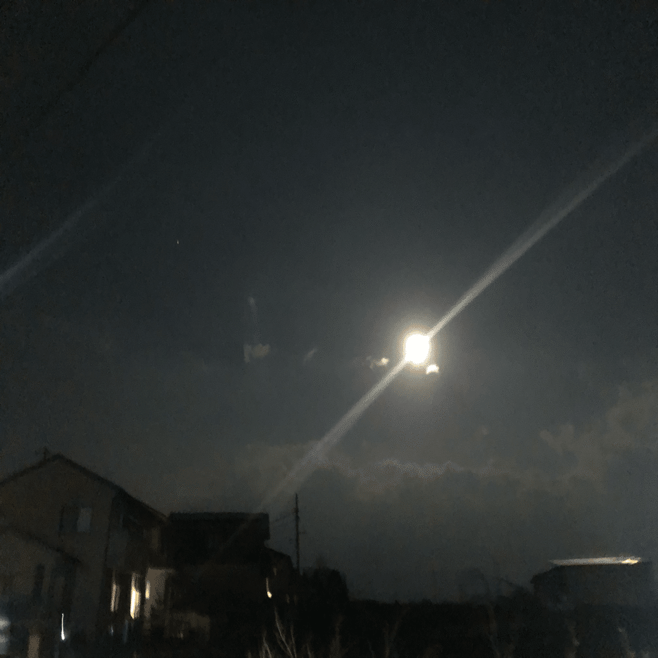 月のウサギ 牛山純一 Note