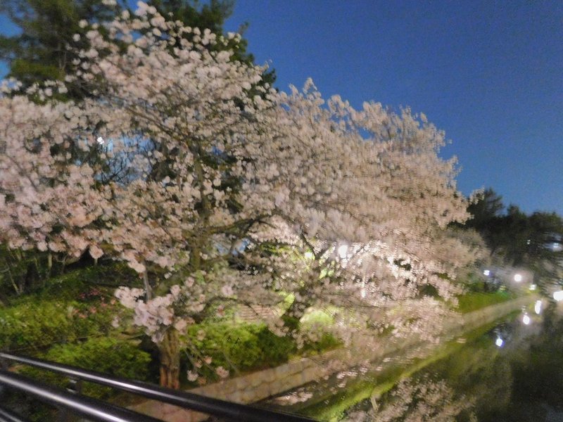 見上げたらぁ スーパームーン 月と桜 高画質version 霞 Note