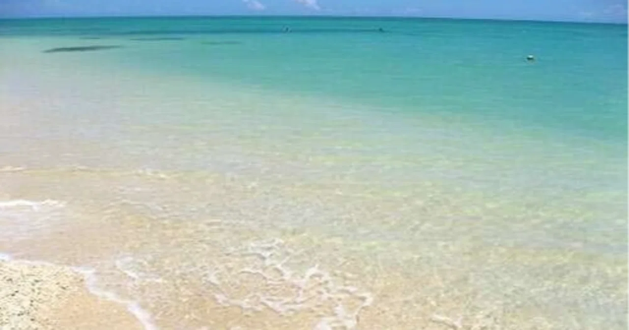 The Island Where Gods Sleep: Prayers Returning to Kudaka｜🌿神薙鈴音
