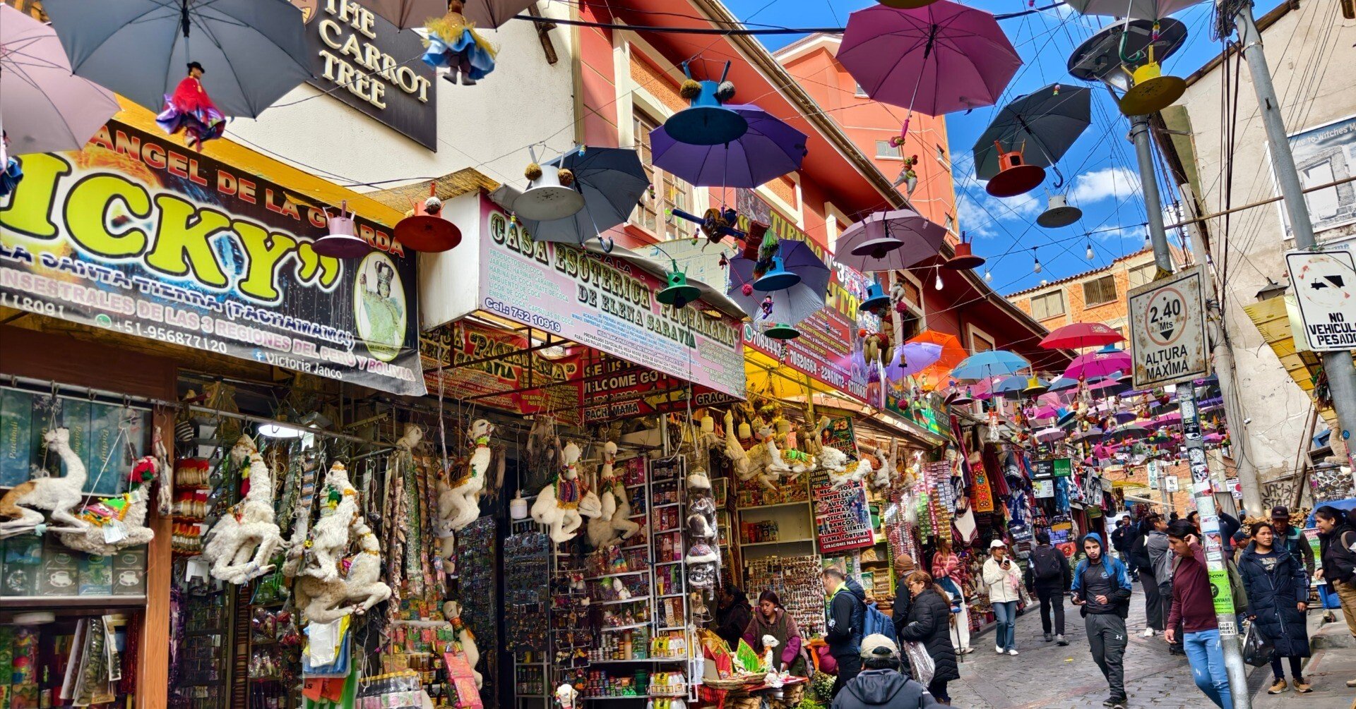 2025年】ボリビア旅行のヒント｜ピサン・ザプラ/南米旅