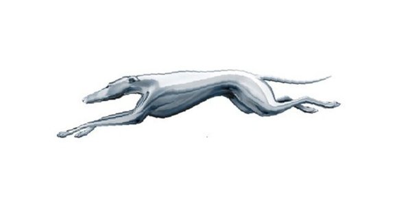 短冊 公家 正親町寛連 日野弘資 冷泉為久 肉筆 短歌 俳句 江戸時代まくり 短冊 公家 正親町寛連 日野弘資 冷泉為久 肉筆 短歌 俳句 江戸