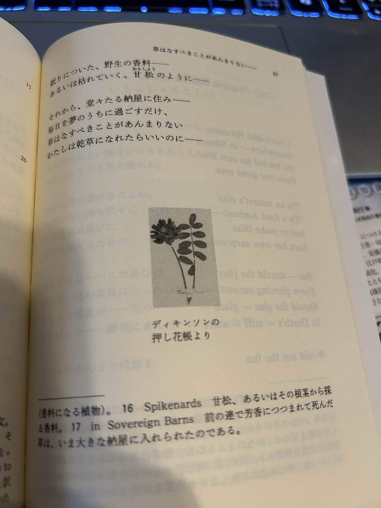 朝の読書】エミリー・ディキンソン｜teiQrei（ていきゅうれい）｜家庭