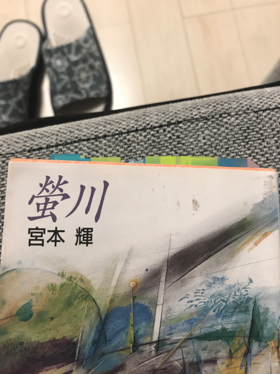 読書 蛍川 宮本輝 感想と考察 紬糸 つむぎいと Note