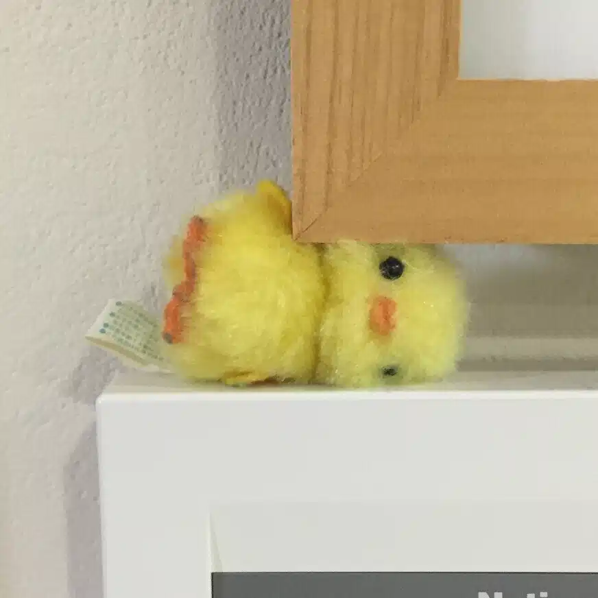おぐら