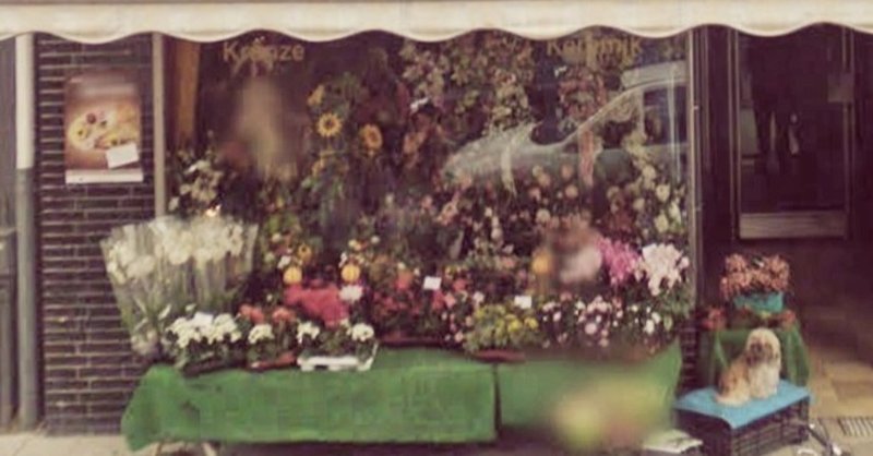 アレクサンダー氏とエリザベト夫人はドイツの花屋だった 後編 もろこしノート Note