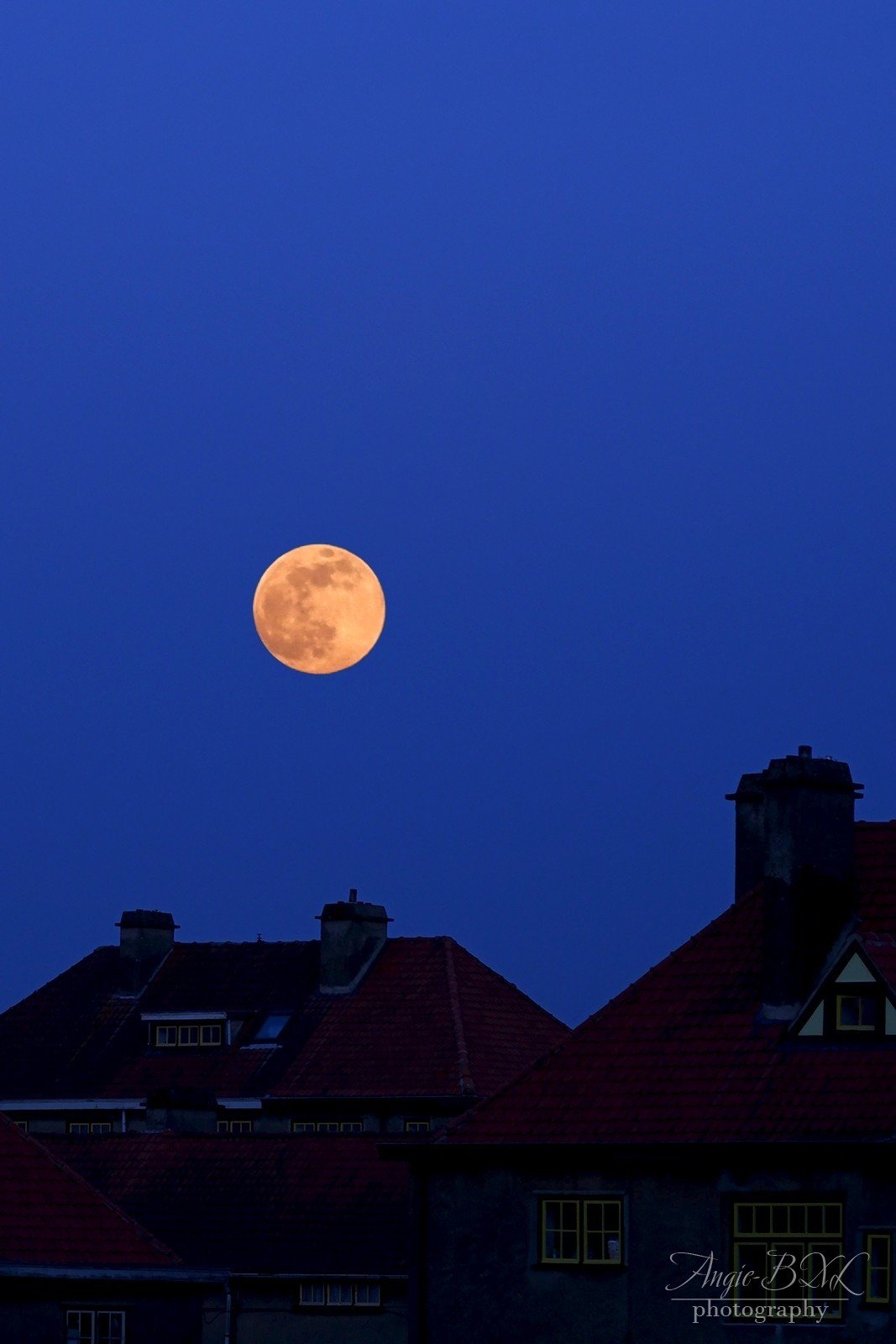 Super Pink Moon Angie Bxl Note