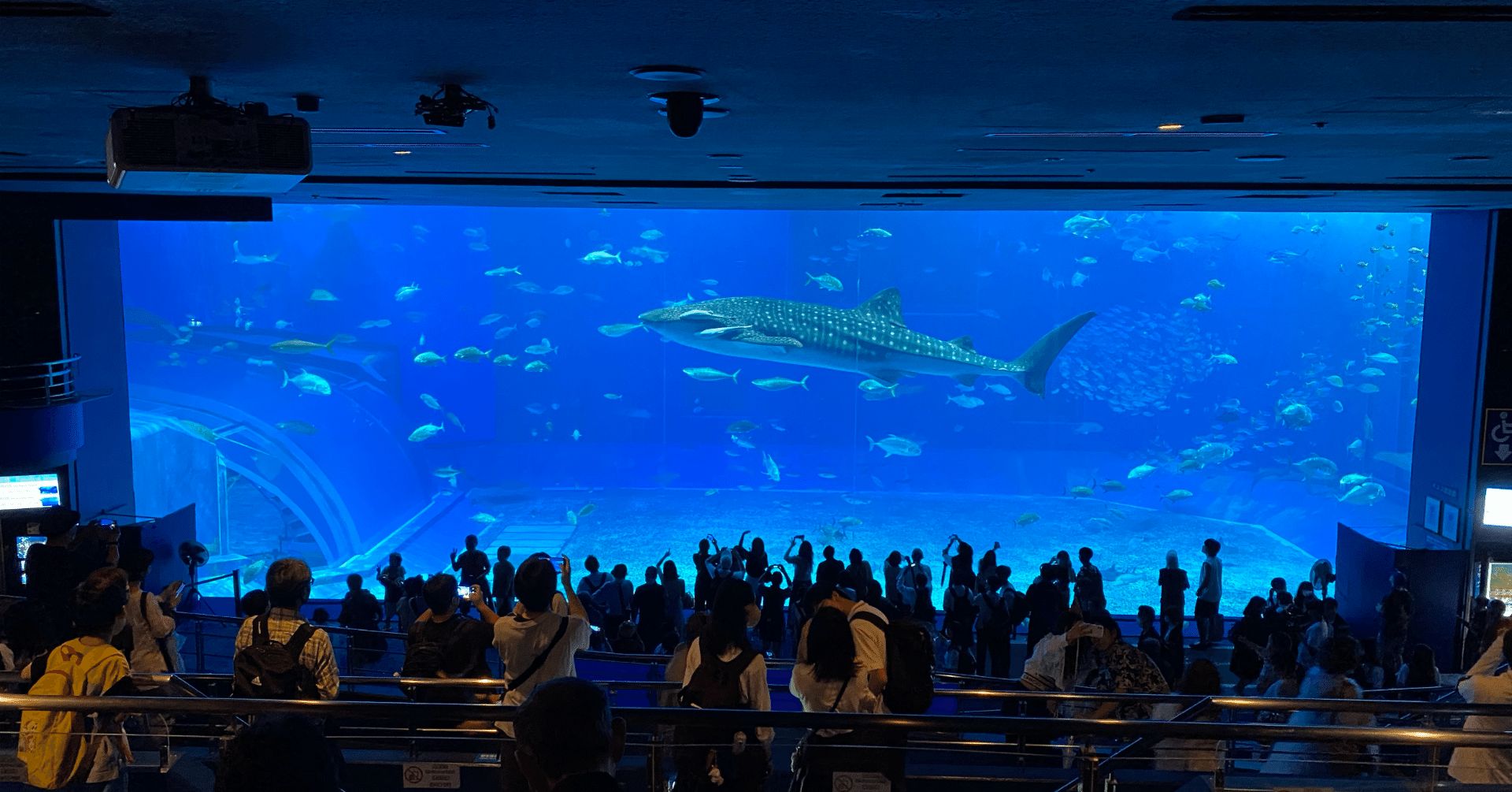 海外から沖縄に来ているお客様の数は？【都道府県別にみる訪日外国人