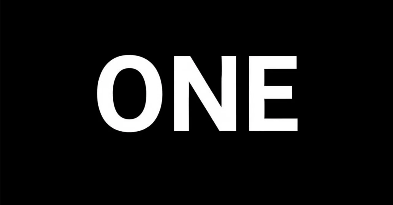 ONE日本大会グッズまとめ｜ONE165・ONE172の現地限定アイテムを