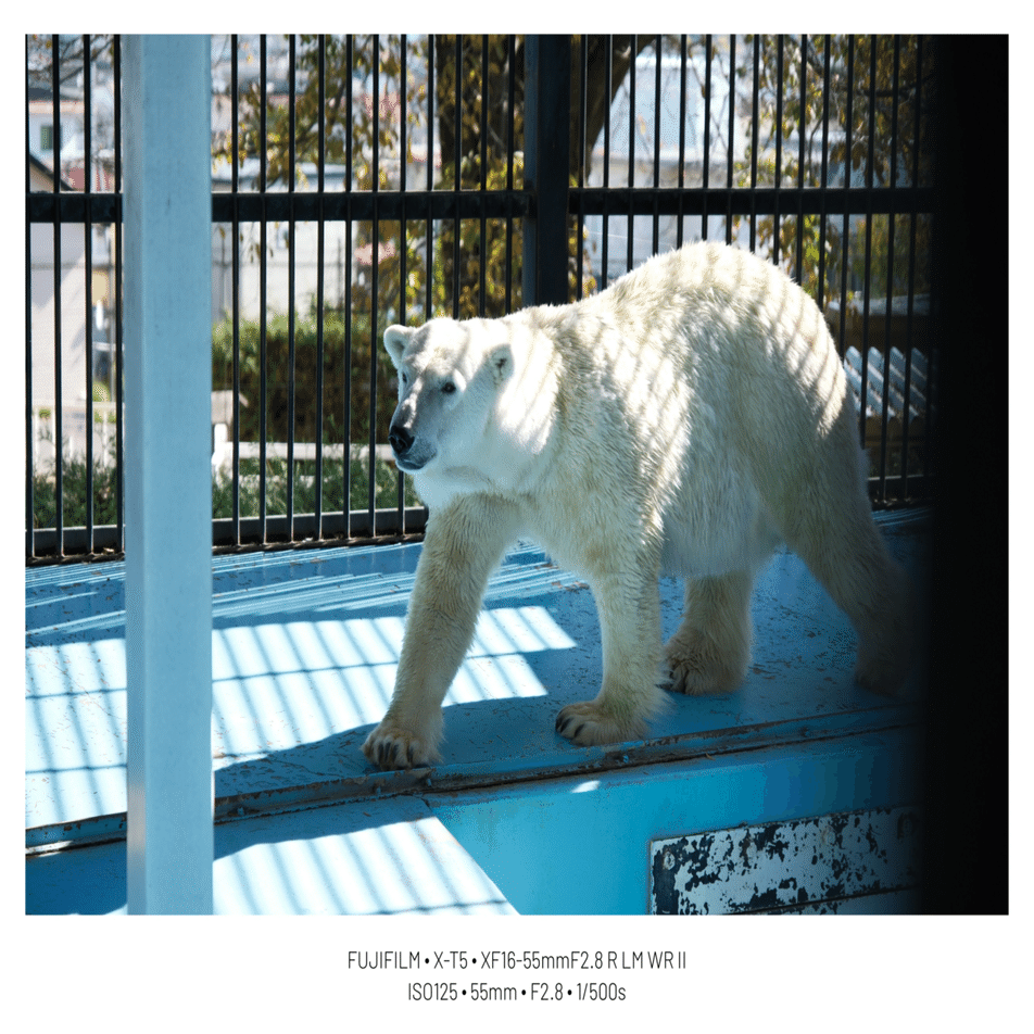 36「XF16-55mm F2.8 R LM WR Ⅱ ファーストレビュー」｜sirokuma/photo