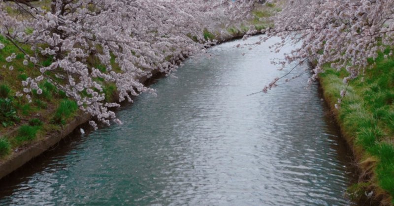 禁煙チャレンジ日記73日目