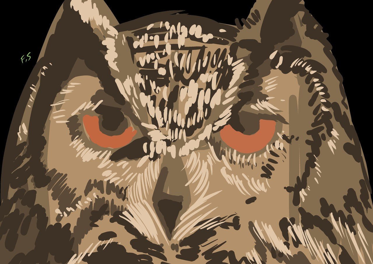 ワシミミズクのイラスト 完成までの道のり 古川セイ Note