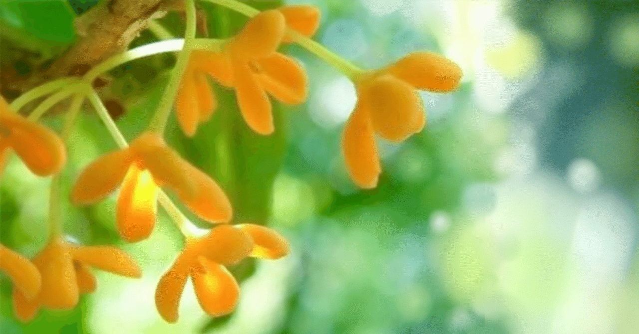 ゴールドマン・サックスの株価が上昇している理由｜oO_お姉さん_Oo