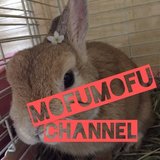 MOFUMOFU☆CHANNEL