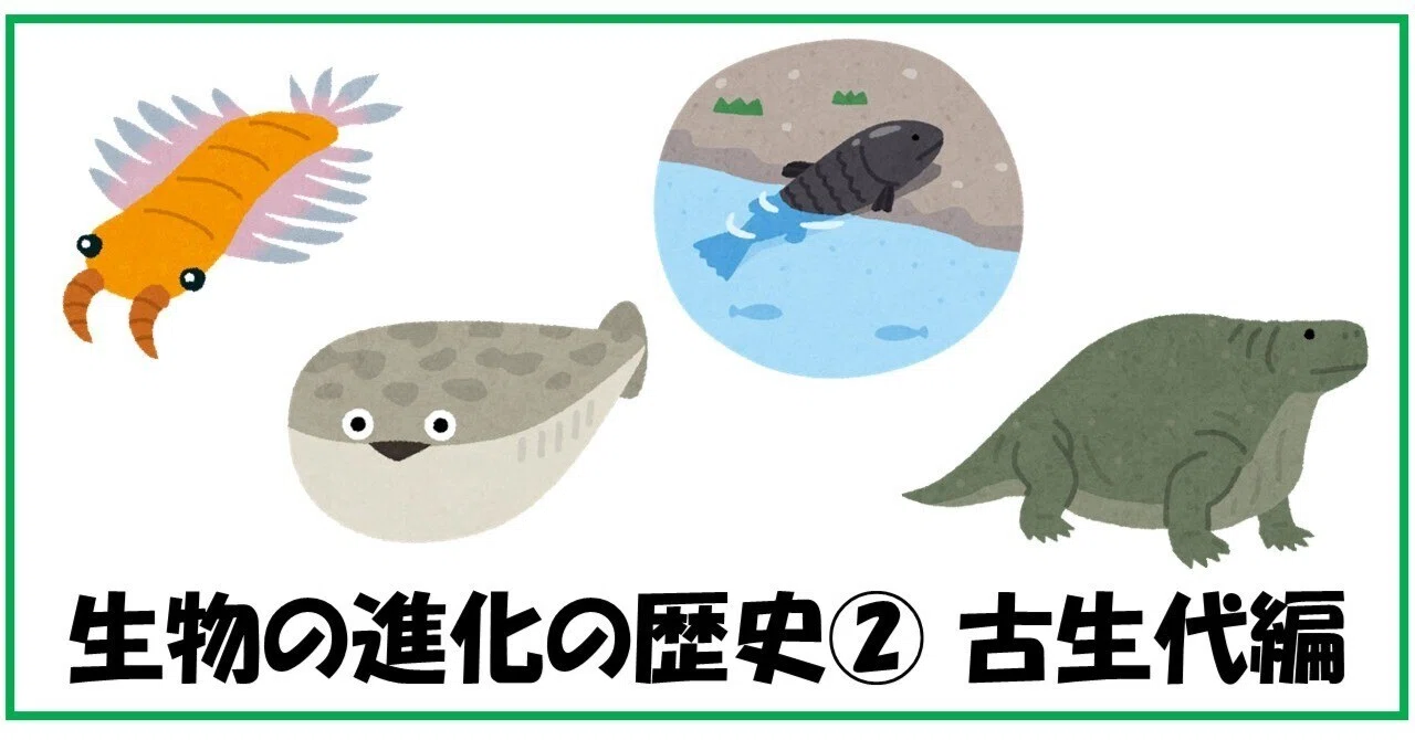 古生物学入門！生物の進化の歴史② 古生代編～大絶滅展の前に～｜小中学生パパママ向け｜ねりまジュニアレンジャー教材｜岡田英昭