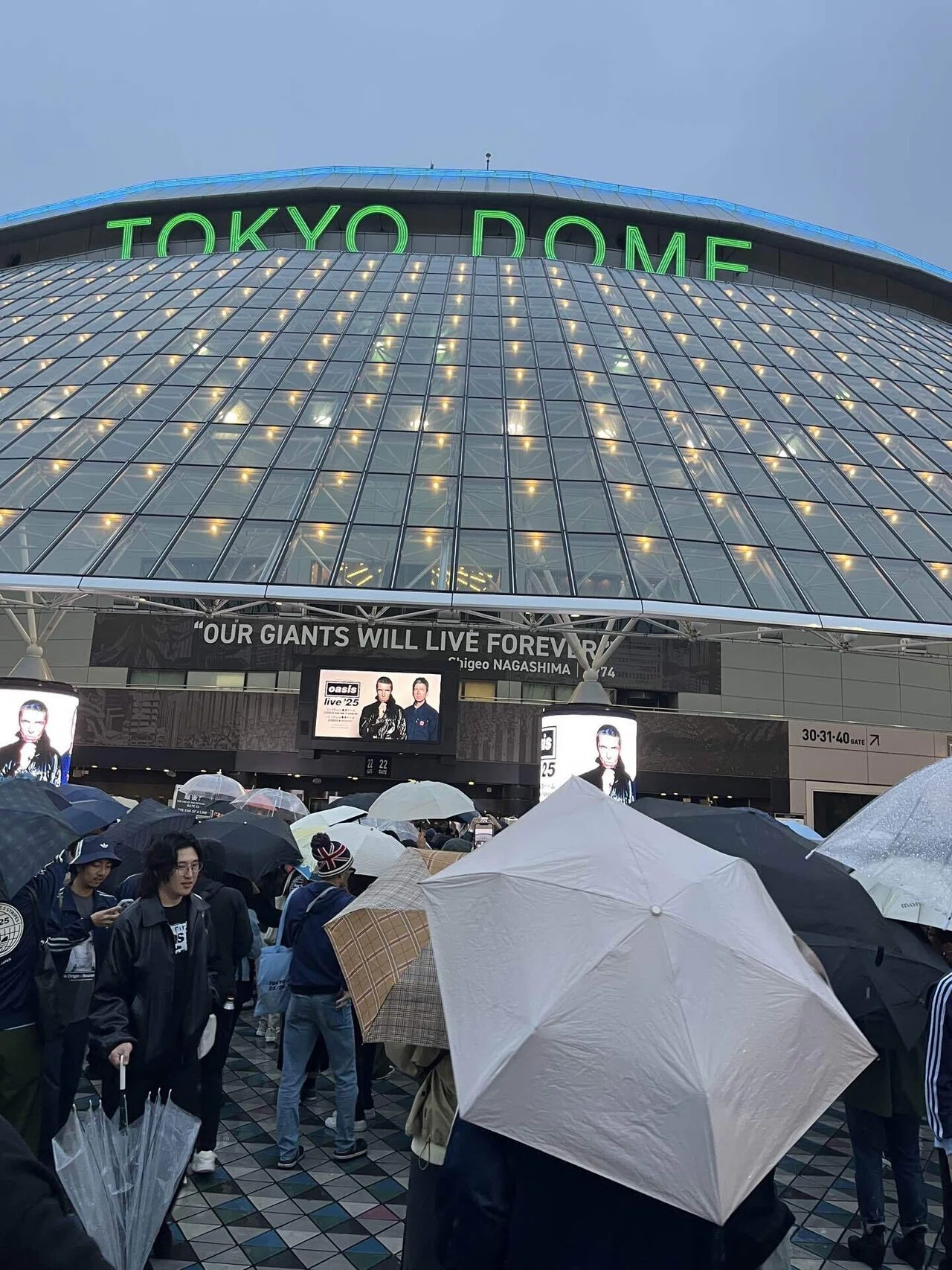 どっちがノエルでどっちがリアムか覚えないままoasis東京ドーム公演に