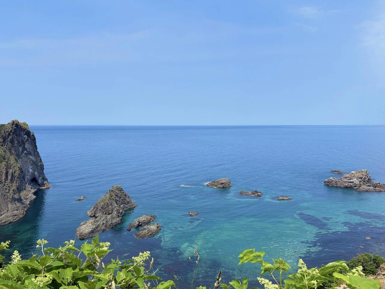2025.06 ウニとエゾカンゾウを巡る旅⑦積丹半島・神威岬｜tama