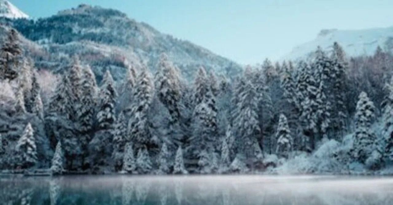 Causes and Countermeasures for Winter Depression: Mental Care You Can ...