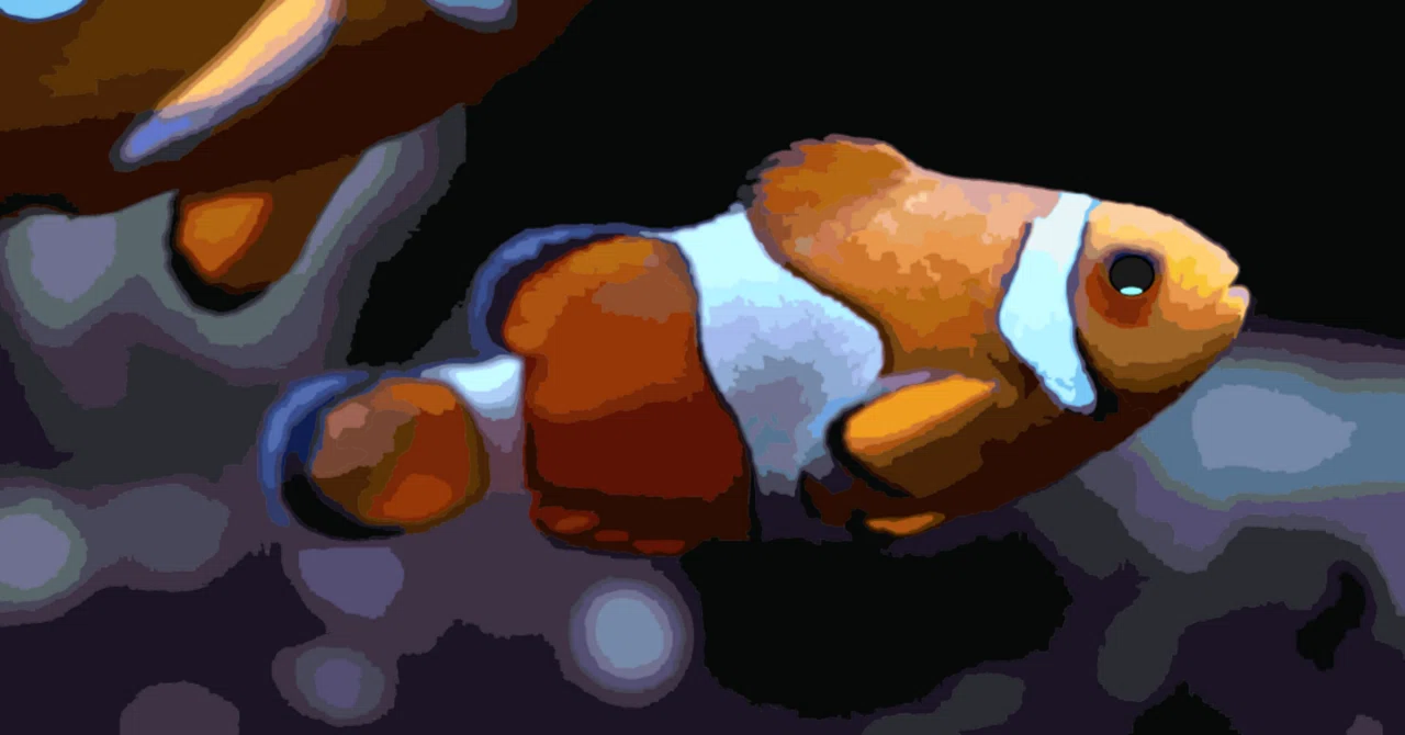 40118775_2