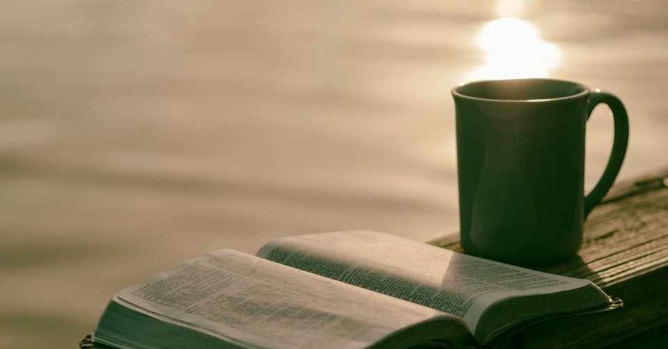 努力と才能について考える 4月8日 さい Note